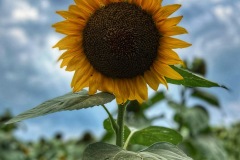 869623F3-6FE4-4FF5-9458-4338F9070E33