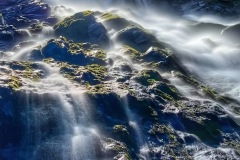 E565421D-73E4-4BF7-9CCF-7B45CFACC885
